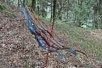 5-erl BSV Avalon Bild 46