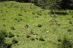 29. Sonnblickturnier Bild 5
