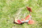 29. Sonnblickturnier Bild 12