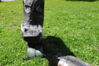 29. Sonnblickturnier Bild 18