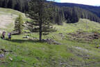 29. Sonnblickturnier Bild 21