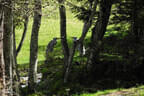 29. Sonnblickturnier Bild 23