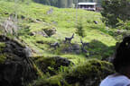 29. Sonnblickturnier Bild 34