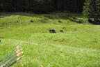 29. Sonnblickturnier Bild 39