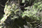 29. Sonnblickturnier Bild 44