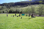 29. Sonnblickturnier Bild 10