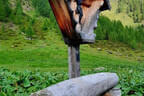 3. Bruggeralmchallenge Bild 2