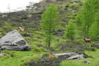 3. Bruggeralmchallenge Bild 81