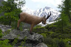 3. Bruggeralmchallenge Bild 84