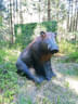 Parcoursumbau Sommer 2024 Bild 6