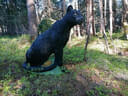 Parcoursumbau Sommer 2024 Bild 7