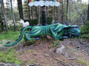 Parcoursumbau Sommer 2024 Bild 26