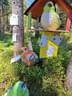 Parcoursumbau Sommer 2024 Bild 28