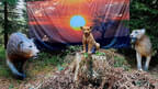 Parcoursumbau Sommer 2024 Bild 57