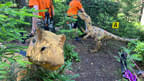 VA 2024 Stoneface Bild 81