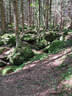 VA 2024 Stoneface Bild 115