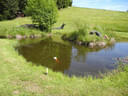 VA 2024 Stoneface Bild 13