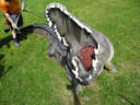 VA 2024 Stoneface Bild 15