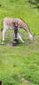 VA 2024 Bad Zell Bild 6