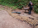 VA 2024 Bad Zell Bild 16