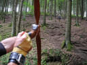 VA 2024 Bad Zell Bild 11