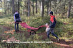 Winterparcours 2024/25 Bild 72