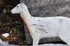 5erl Final Target Bild 114