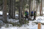 5erl Final Target Bild 48