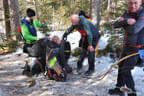 5erl Final Target Bild 76