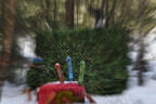 5erl Final Target Bild 94