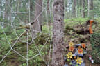 Parcoursumbau Sommer 2025 Bild 12