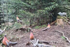 Parcoursumbau Sommer 2025 Bild 9