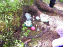 Sommerumbau 2025 Bild 12