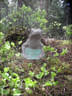 Sommerumbau 2025 Bild 17