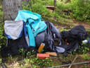 Sommerumbau 2025 Bild 19