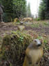 Sommerumbau 2025 Bild 32