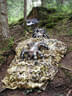 Sommerumbau 2025 Bild 38