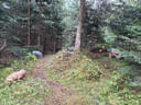 Sommerumbau 2025 Bild 5