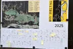 15. Iseltalturnier 2025 Bild 0