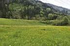 15. Iseltalturnier 2025 Bild 35