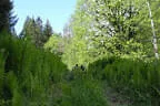 19. Glemmerehofturnier Bild 52