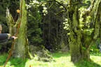 19. Glemmerehofturnier Bild 55