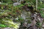 19. Glemmerehofturnier Bild 56