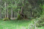 19. Glemmerehofturnier Bild 66