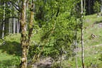 19. Glemmerehofturnier Bild 69