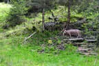 19. Glemmerehofturnier Bild 80