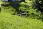 5. Watschenbachturnier Bild 32