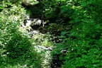 5. Watschenbachturnier Bild 38