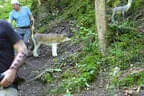 5. Watschenbachturnier Bild 39