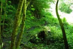 5. Watschenbachturnier Bild 40